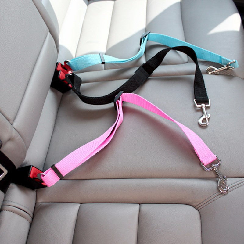 PawGuard SeatBelt