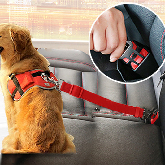 PawGuard SeatBelt