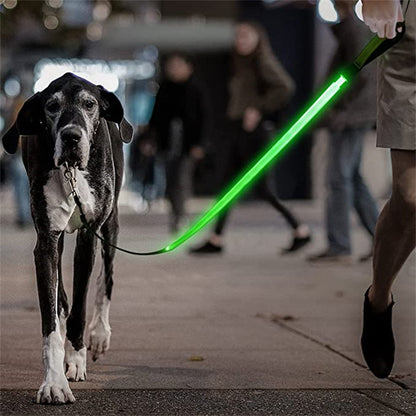 LED LumiPet Leash