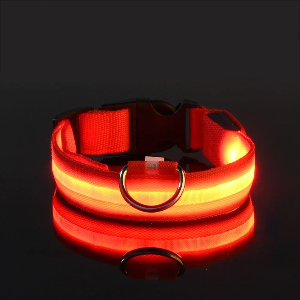 LED LumiPet Collar (Solid)