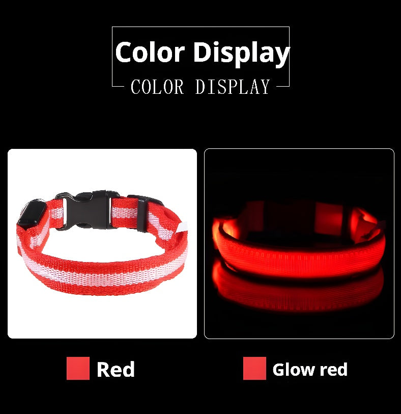 LED LumiPet Collar (Solid)