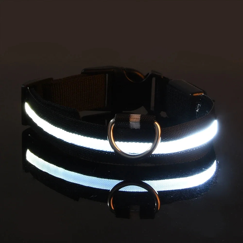 LED LumiPet Collar (Solid)