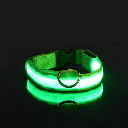 LED LumiPet Collar (Solid)