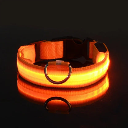 LED LumiPet Collar (Solid)