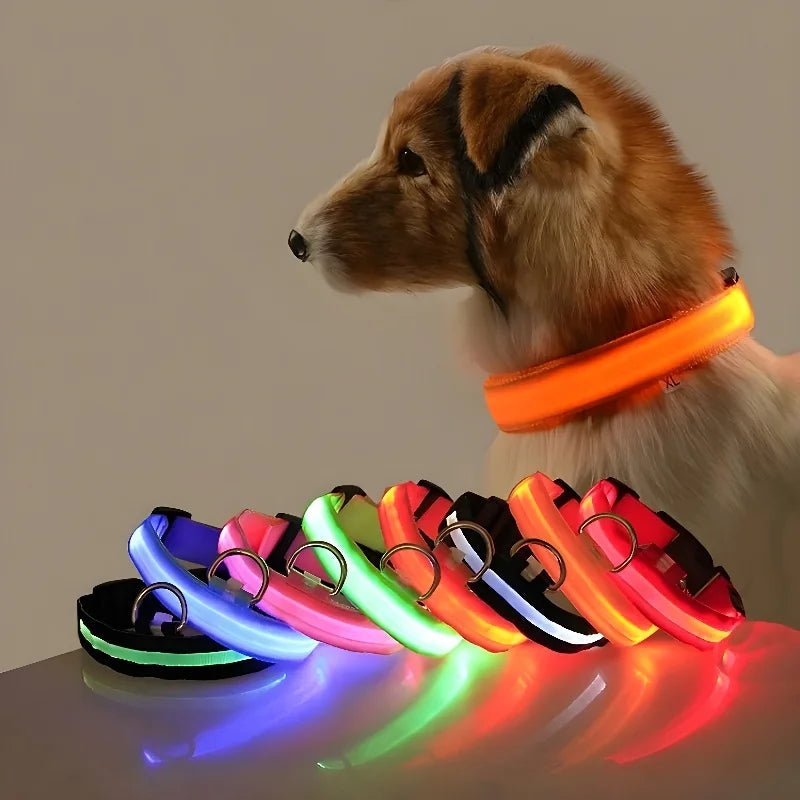 LED LumiPet Collar (Solid)