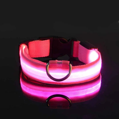 LED LumiPet Collar (Solid)