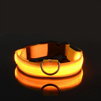 LED LumiPet Collar (Solid)