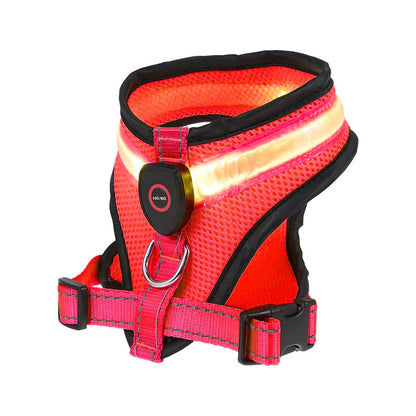 LED LumiPet Harness