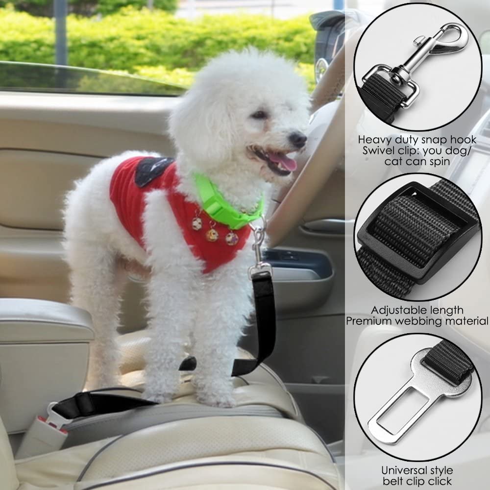 PawGuard SeatBelt