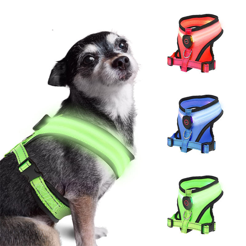 LED LumiPet Harness